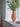 Bloomingville Winston Vase – munnblåst glassvase i oransje med blå hanker, Ø14,5 x H30 cm. Perfekt til blomster eller som fargerik interiørdetalj.