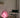 Soft Serve Lamp Mega i Rose Sorbet fra Crème Atelier – en håndlaget, prisvinnende gulvlampe med myke former inspirert av softis. 3D-printet i biologisk nedbrytbar plast, dimbar og bærekraftig produsert i Stockholm.