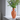 Bloomingville Winston Vase – munnblåst glassvase i oransje med blå hanker, Ø14,5 x H30 cm. Perfekt til blomster eller som fargerik interiørdetalj.