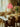 Soft Serve Pendant 03 Peach fra Crème Atelier hengende over et dekket spisebord – skulpturell ferskenfarget lampe med organisk Soft Serve-form.