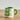 Millie Espresso Cup Green Flowers 110 ml fra Bloomingville MINI – grønn espressokopp med håndmalte hvite og rosa blomster, stylet på trebord.