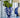 Amara Vase Blue fra Creative Collection by Bloomingville stylet med grønne grener på et blått bord – håndmalt vase i blått steintøy med hvite blomster.