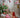 Bloomingville Livia rød sløyfepute i mønstret bomull, stylet som en dekorativ julepute i interiøret.