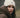 MSCH Hope Icon Beanie fra Moss Copenhagen – myk strikkelue med logo, one size. Materiale: 30% resirkulert polyamid, 20% ull, 19% akryl, 18% alpaca, 10% polyamid, 3% elastan.