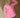 BOII - Andersen Skin Stripe – Skjorte | Bomull