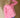 BOII - Andersen Skin Stripe – Skjorte | Bomull