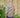 BOII - Nete Stripe bluse i hvit og sort